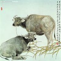 属牛本命年头像