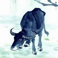 属牛本命年头像
