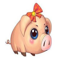 属猪本命年头像