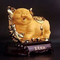 属猪本命年头像