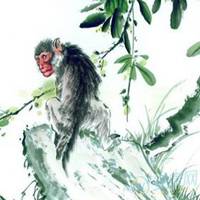 属猴本命年头像