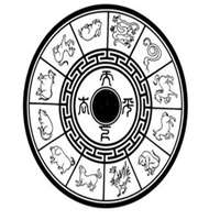 属虎本命年头像