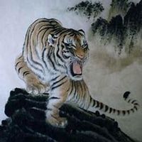 属虎本命年头像