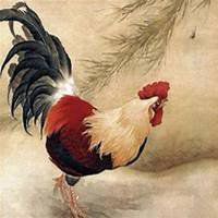 属鸡本命年头像