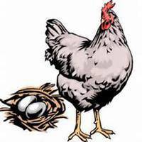 属鸡本命年头像