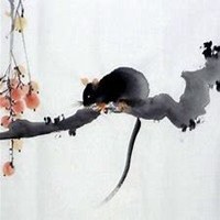 属鼠本命年头像