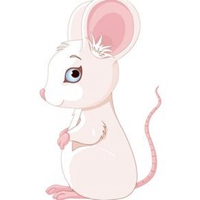 属鼠本命年头像