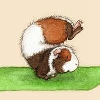 属鼠本命年头像