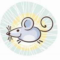 属鼠本命年头像