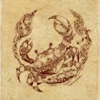 巨蟹座头像女生版唯美可爱