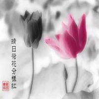 微信头像看人的性格图片