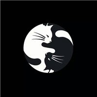 微信换头像后运势变好图片