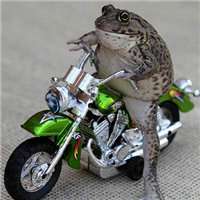 摩托车头像图片大全