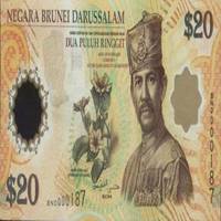 新加坡货币头像