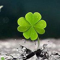 春天头像图片景色