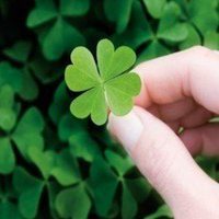 春天头像图片景色