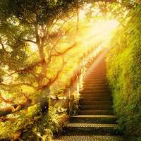 春天头像图片景色