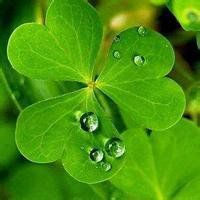 春天头像图片景色