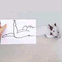 有创意逗比群头像