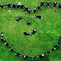 毕业头像图片带字大全