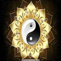 漂亮的太极头像