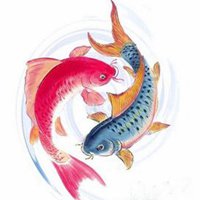 漂亮的太极头像