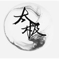 漂亮的太极头像