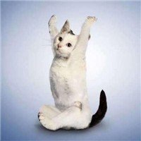 瑜伽头像图片大全