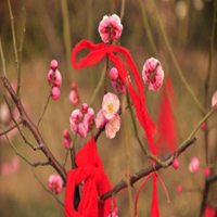 男生非常招桃花运微信头像