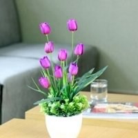 盆景头像图片保平安