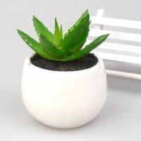 盆景头像图片保平安