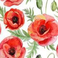 祝你好运红花头像