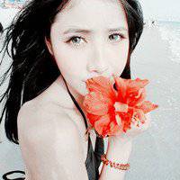 祝你好运红花头像