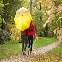 秋天头像女背影图片