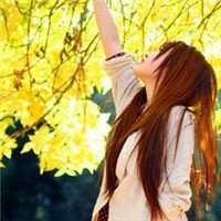 美女侧面花海头像