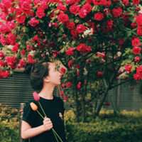 美女侧面花海头像