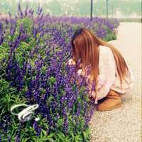 美女侧面花海头像