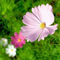 聚财发财的微信头像