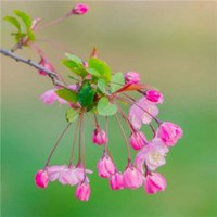 聚财发财的微信头像