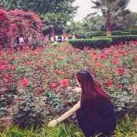 花海头像图片大全唯美