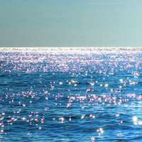 花海头像图片大全唯美