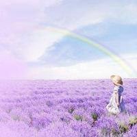 薰衣草图片花海头像