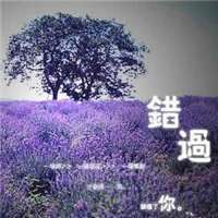 薰衣草图片花海头像