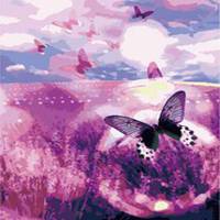 薰衣草图片花海头像