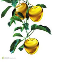 运势好的微信头像