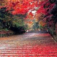 适合三四十几岁人微信头像