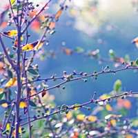 适合三四十几岁人微信头像