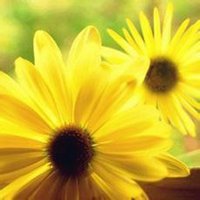 适合三四十几岁人微信头像