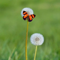 适合二十几岁人微信头像