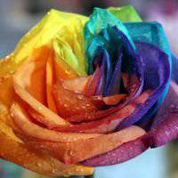 适合四十几岁人微信头像